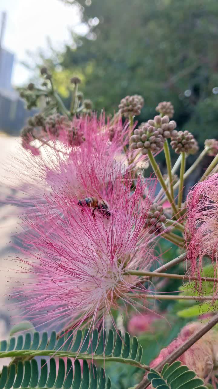 طبیعت لواسان